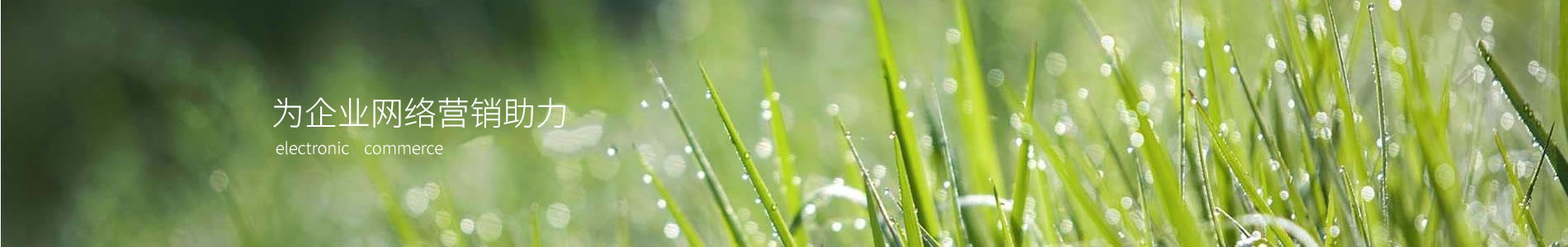 ݳտƼ޹˾